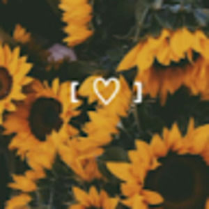 Meet your Posher, Dagne